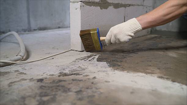 SJ Waterproofing Pros Waterproofing coverage map for Macatawa, MI and surrounding area